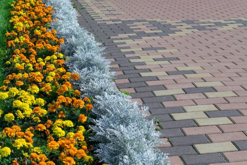 Brick Walkway Designs That Step Up Your MA Hardscapes Game